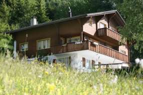 Ferienhaus mit 3 Ferienwohnungen beim Skigebiet Disentis und Sedrun 1250 m ü.M. für 1 - 28 Personen (Nr. 060 - Ferienhaus Graubünden)